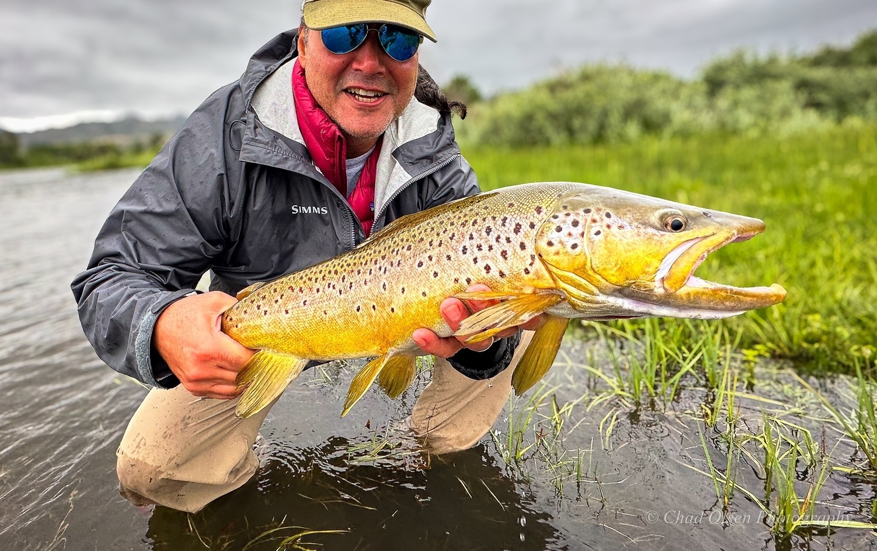 Guided Fly Fishing Day Trips. Trophy Brown Trout.