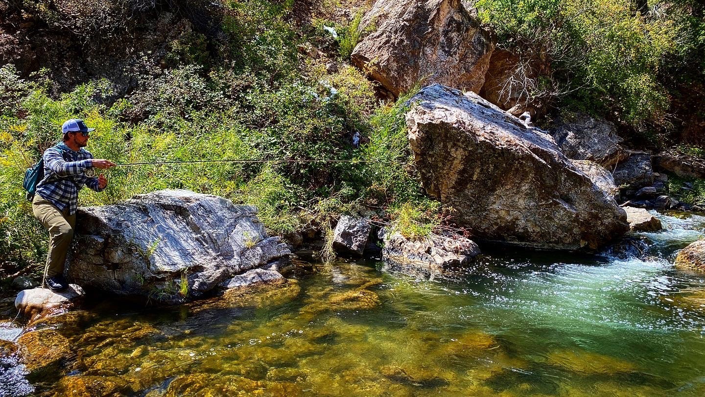 Someone fishing off a boulder in a lush stream