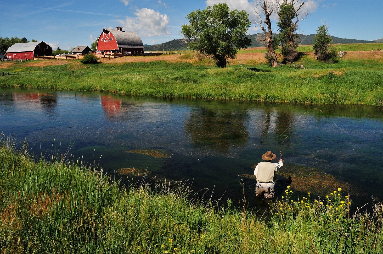 A lush green day. A person is fishing in a stream with a red barn in the background.