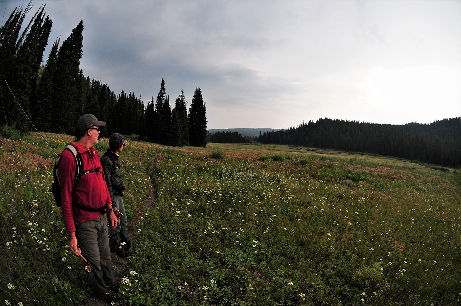 Two people with fishing gear look across a meadow filled with flowers