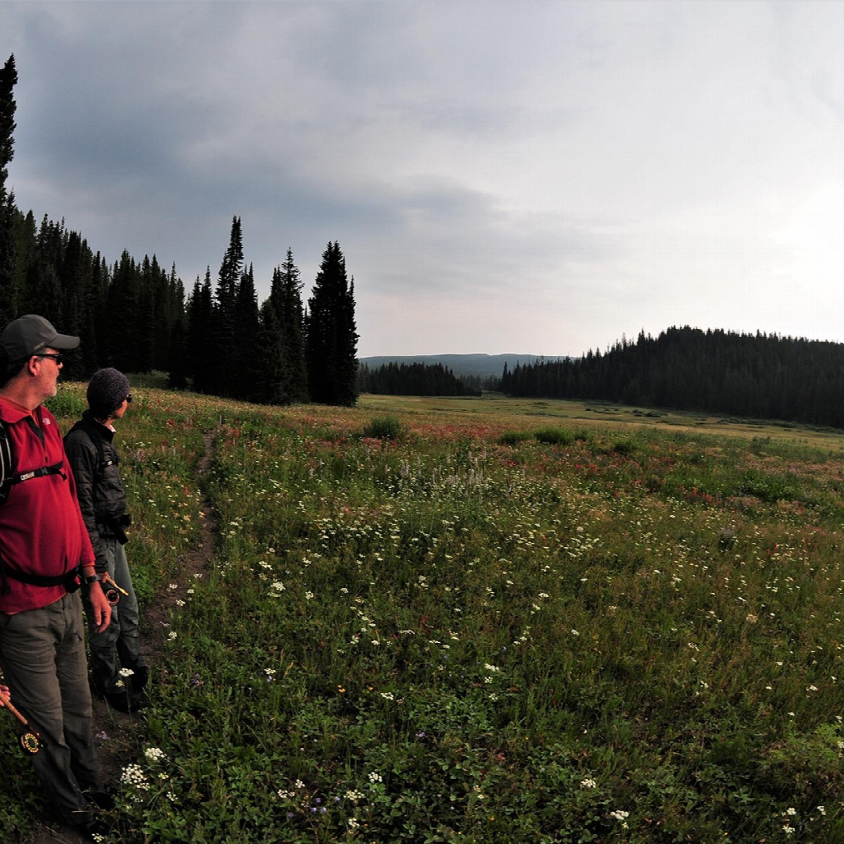 Two people with fishing gear look across a meadow filled with flowers