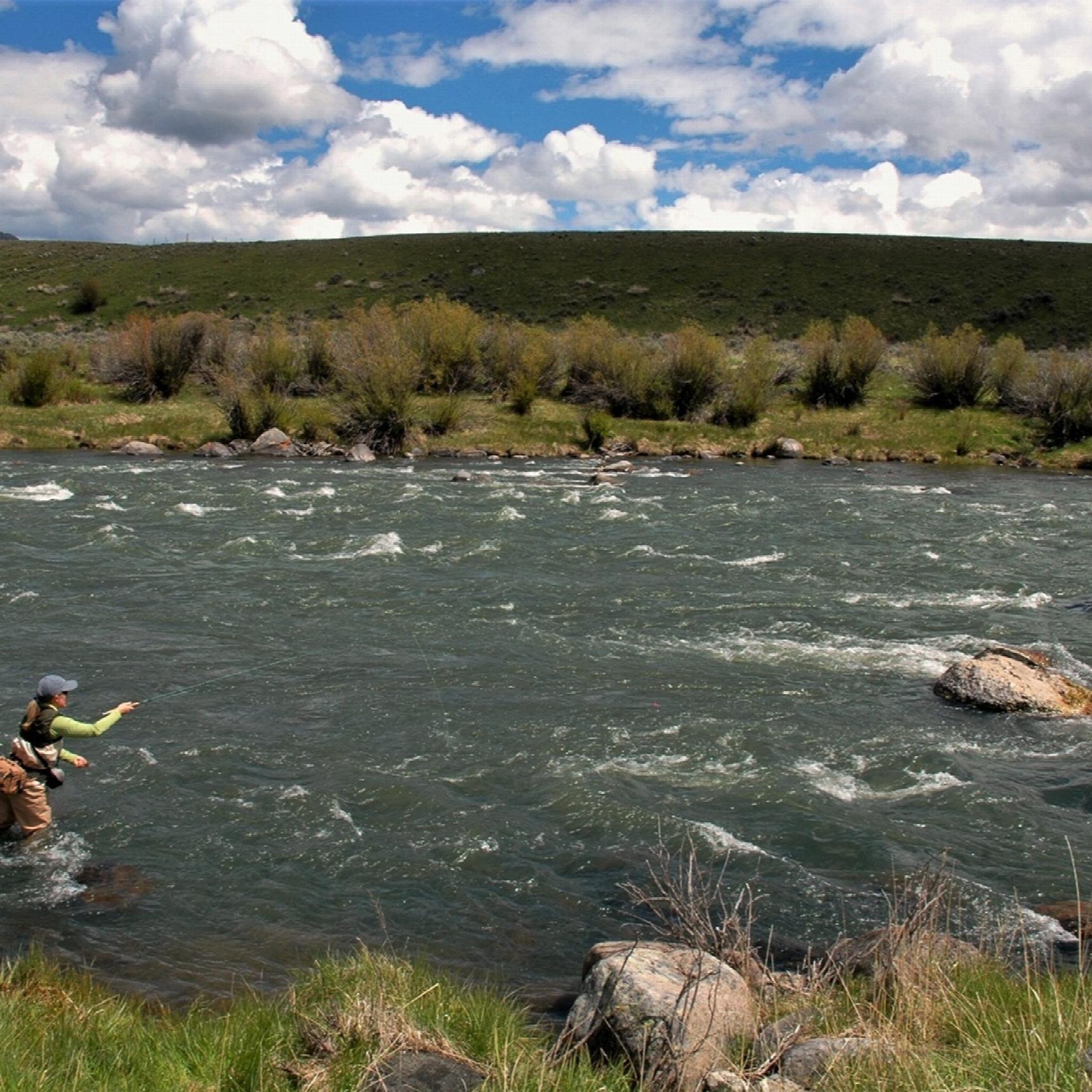 A woman fishes a valley stream