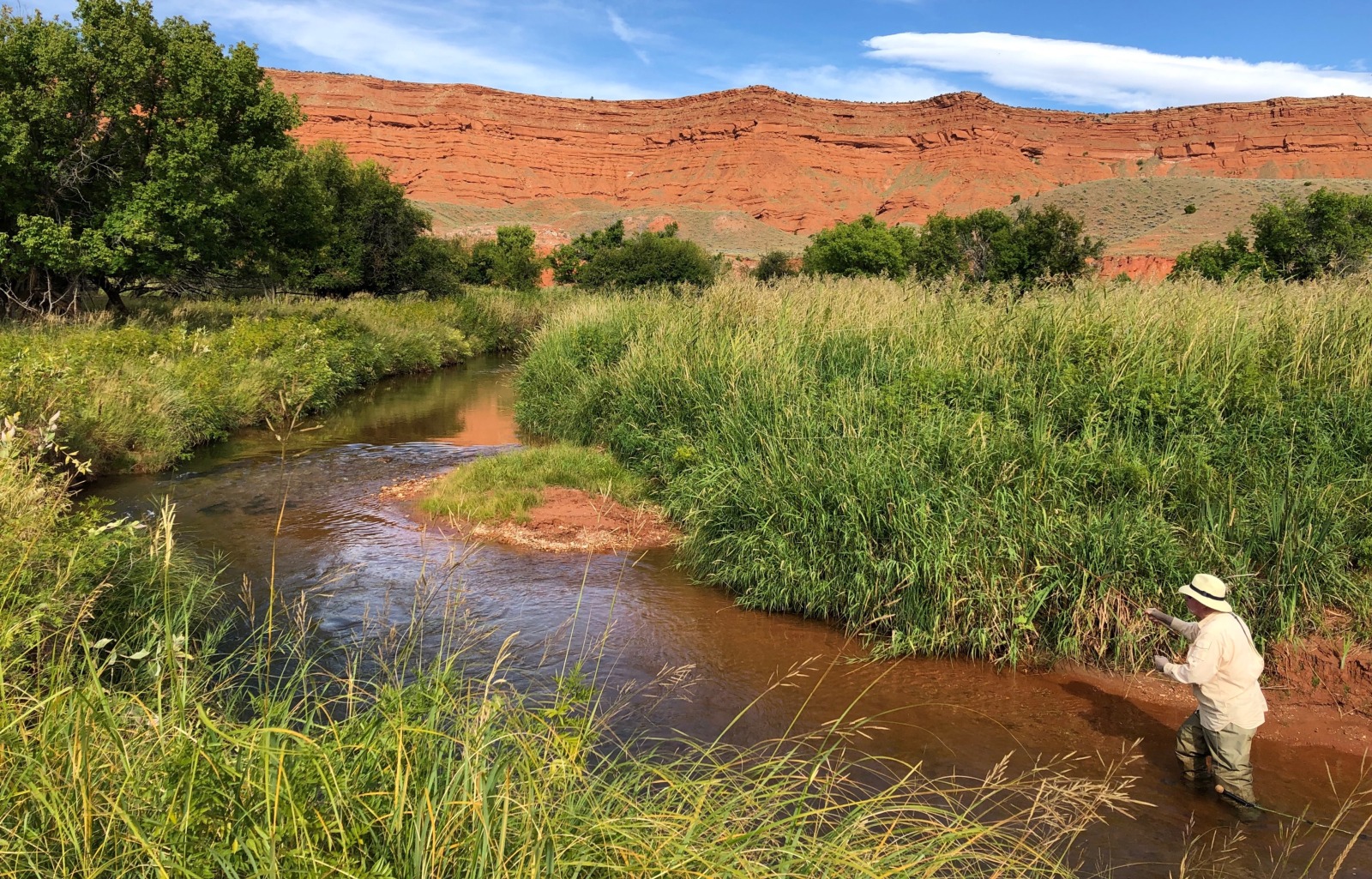Man in a beige shirt and hat wade fishing in a small private stream amid tall waving grasses. Red cliffs in the background with blue skies. 