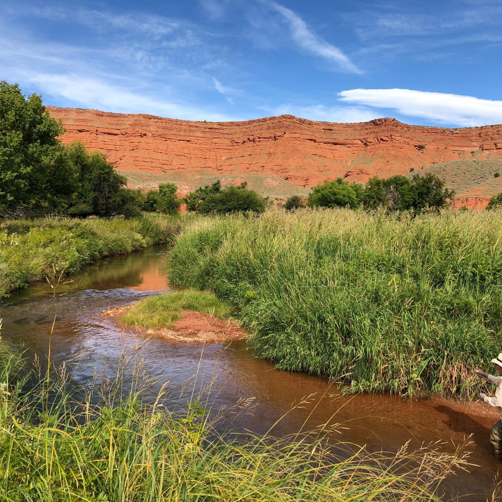 Man in a beige shirt and hat wade fishing in a small private stream amid tall waving grasses. Red cliffs in the background with blue skies.