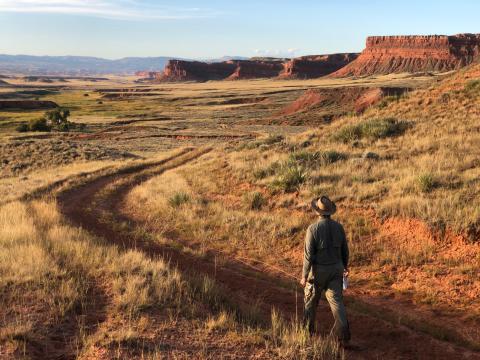 Lone man wearing a hat, long shirt, and pants walks down a single track dirt road in a grassy field with tall red cliffs on each side with mountains in the distance