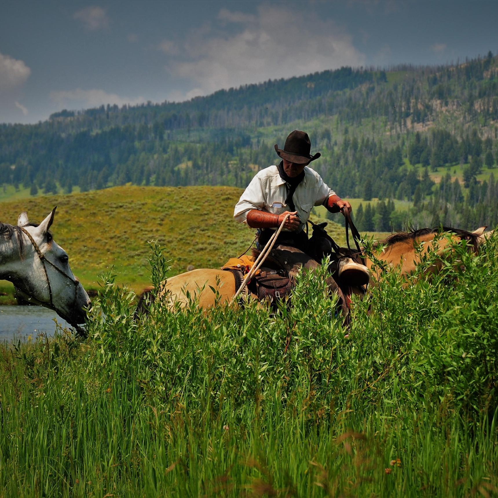 Slough Creek Crossing on Horseback