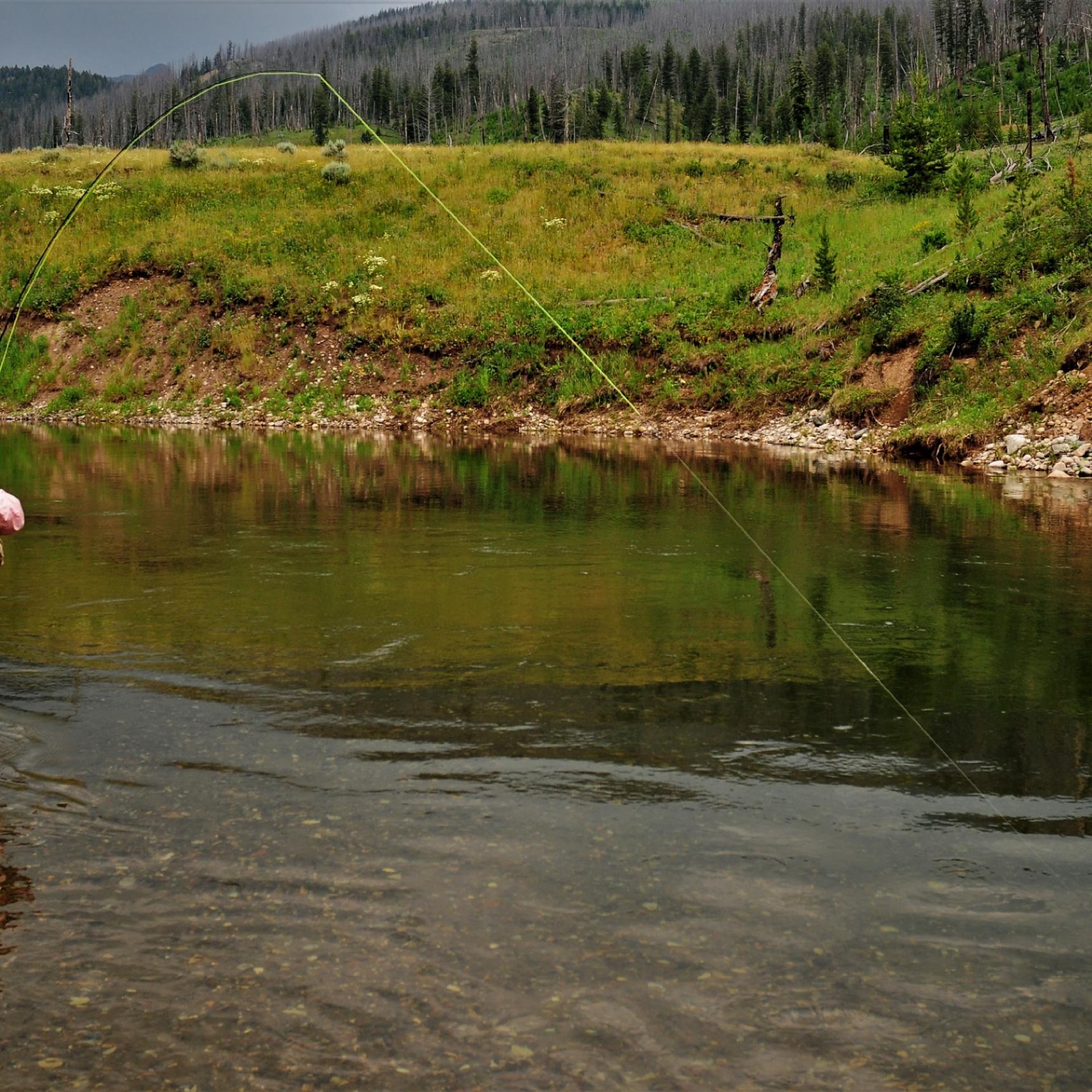 Hooked up on Slough Creek
