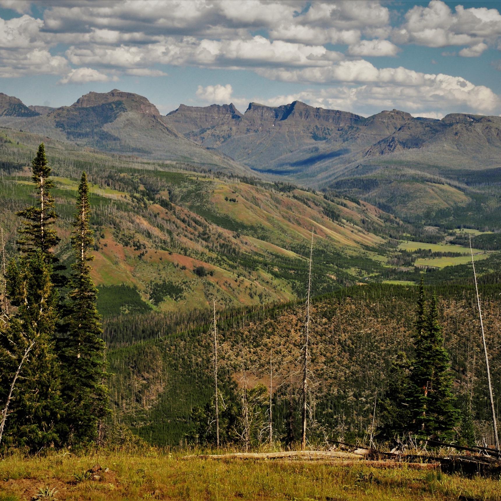 Lamar River Basin, Yellowstone Park