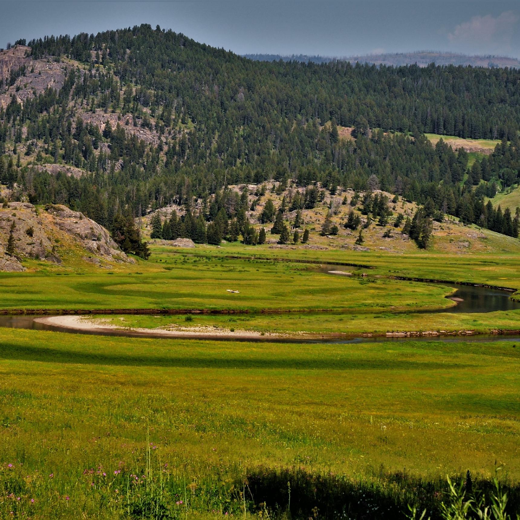 The Best Yellowstone Horseback Fishing Trips