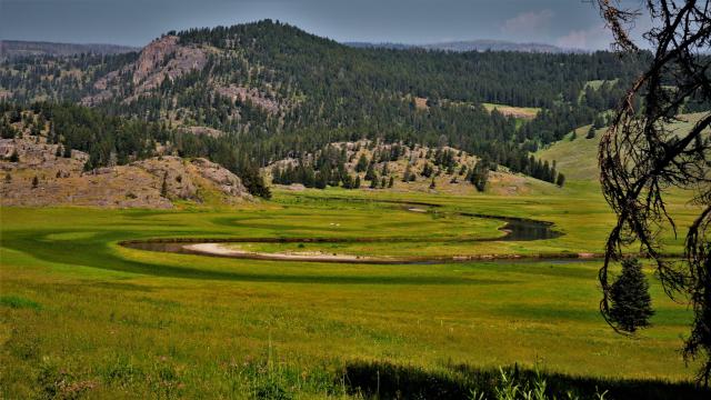 First Meadow Slough Creek, Yellowstone Park