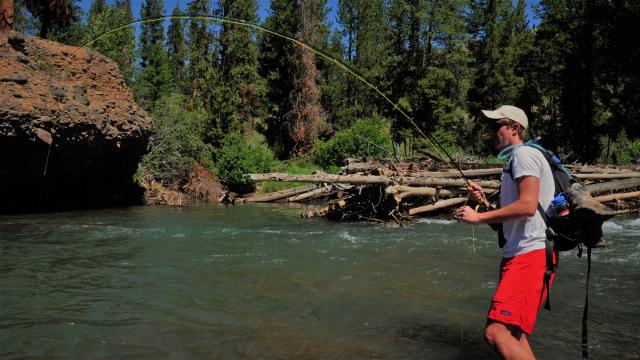 Hooked up in Yellowstone Park's. backcountry