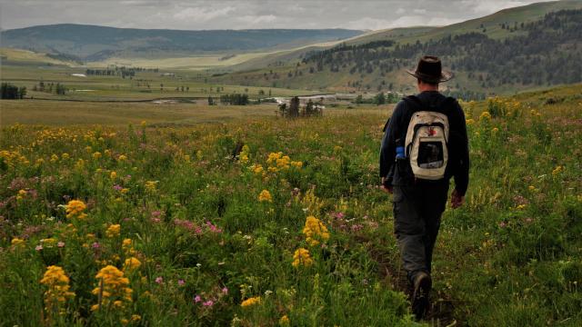 Hiking in the Lamar Valley, Yellowstone Park