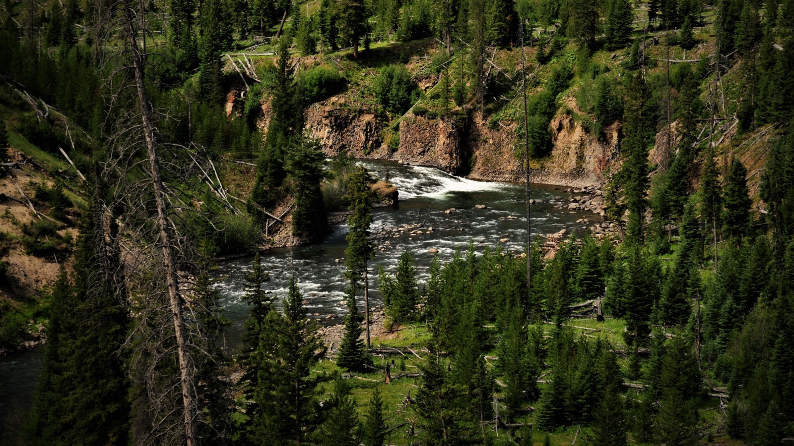 Lamar River, Yellowstone Park