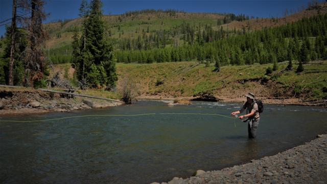 Fly fishing the upper Lamar River, Yellowstone Park