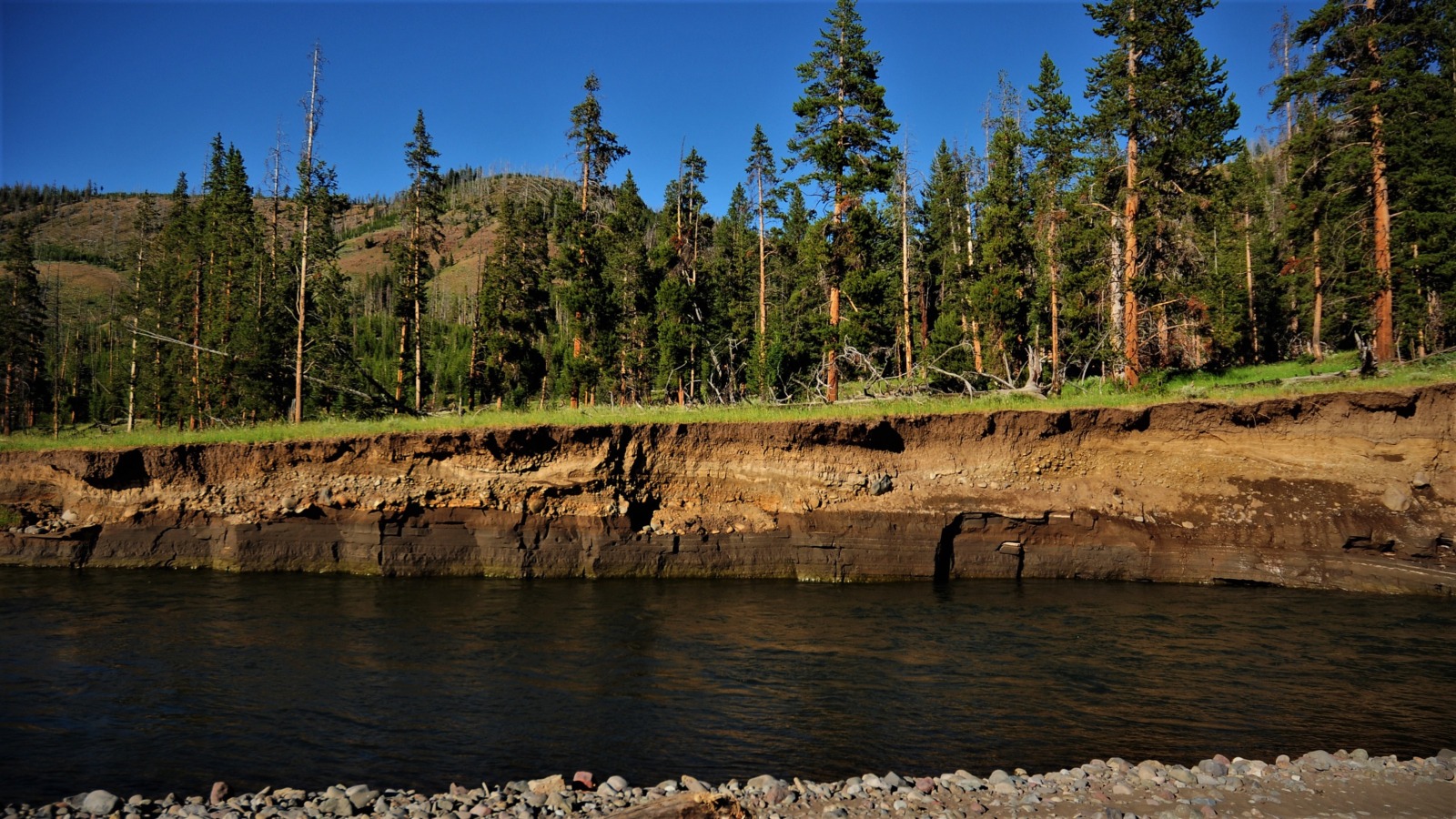 Lamar River, Yellowstone Park