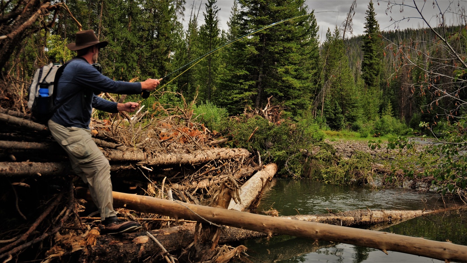 Fly fishing Miller Creek, Yellowstone Park