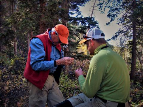 Rigging for a Yellowstone backcountry stream