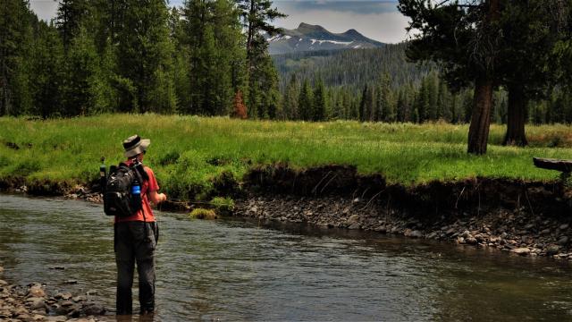 Fly fishing Miller Creek, Yellowstone Park backcountry stream