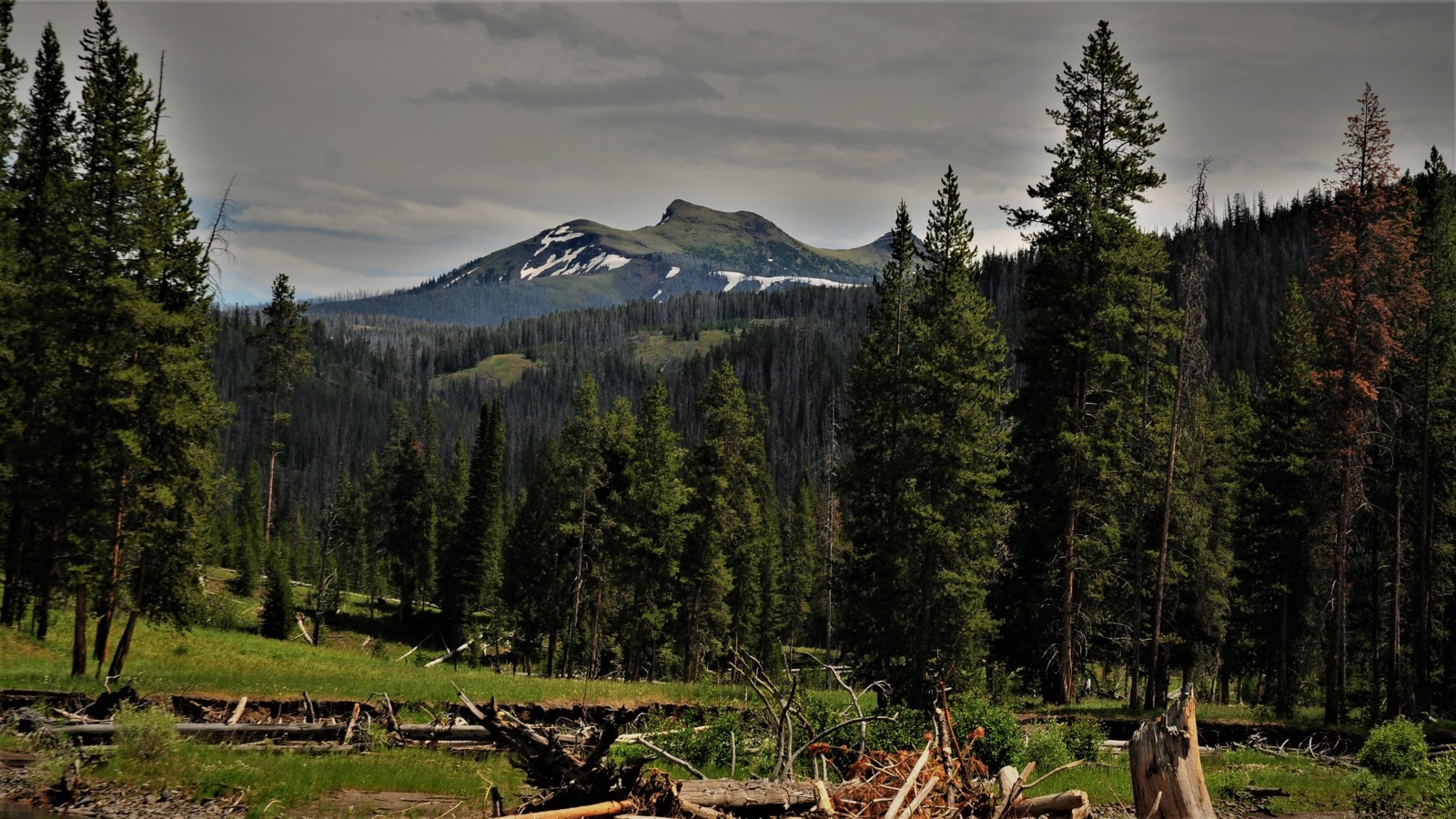 Saddle Peak, Yellowstone Park Backcountry