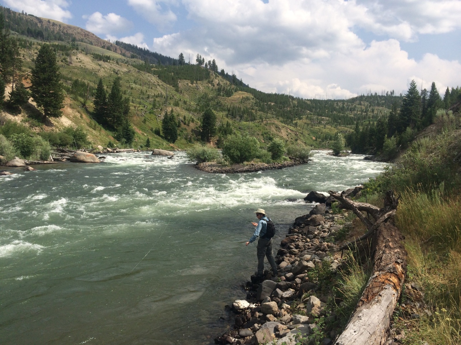 Fly fishing the Yellowstone River, Yellowstone Park