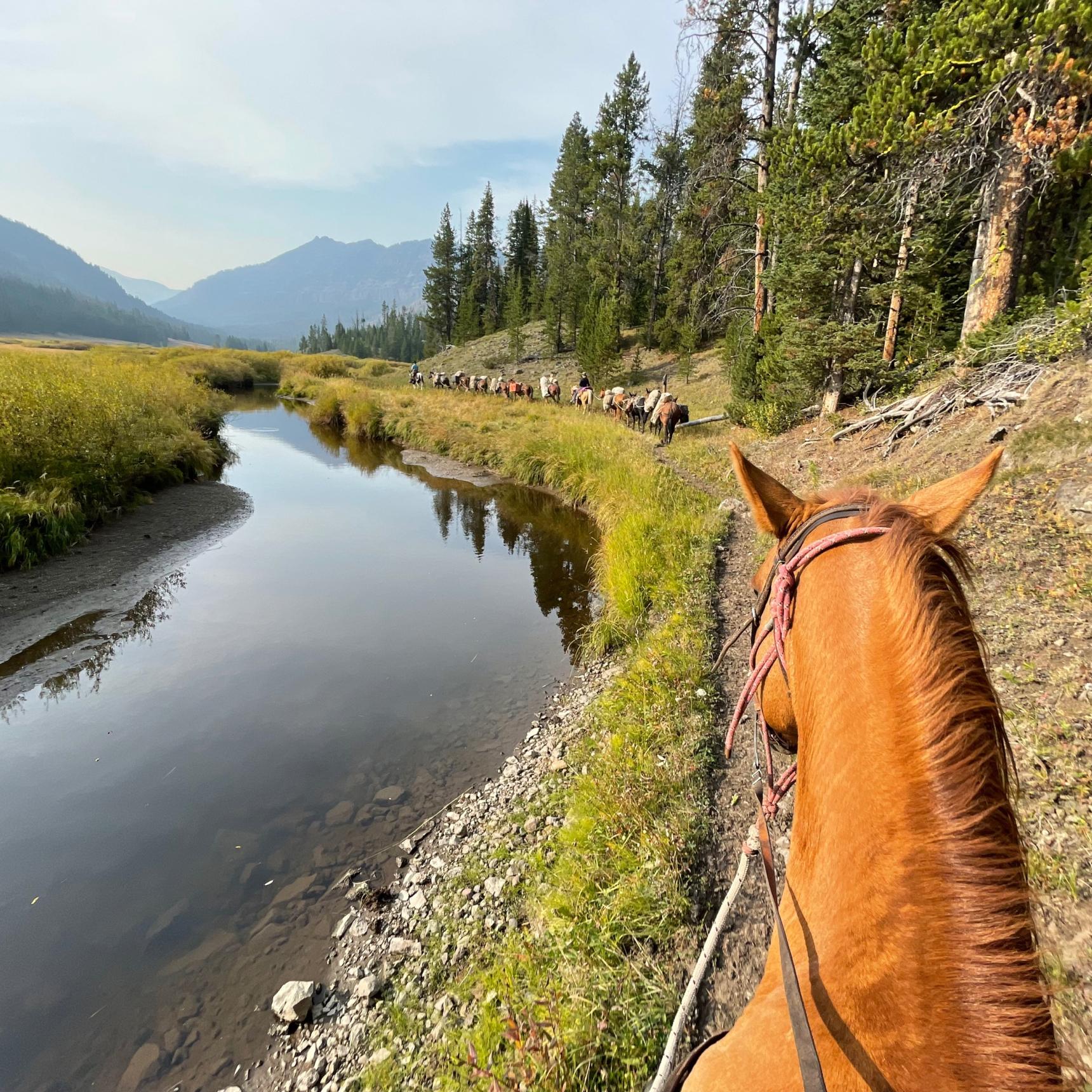 Hellroaring Creek Fishing Pack Trip