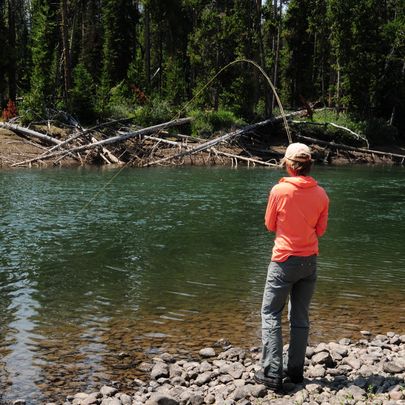 Fishing the Yellowstone River in the Thorofare, Yellowstone Park