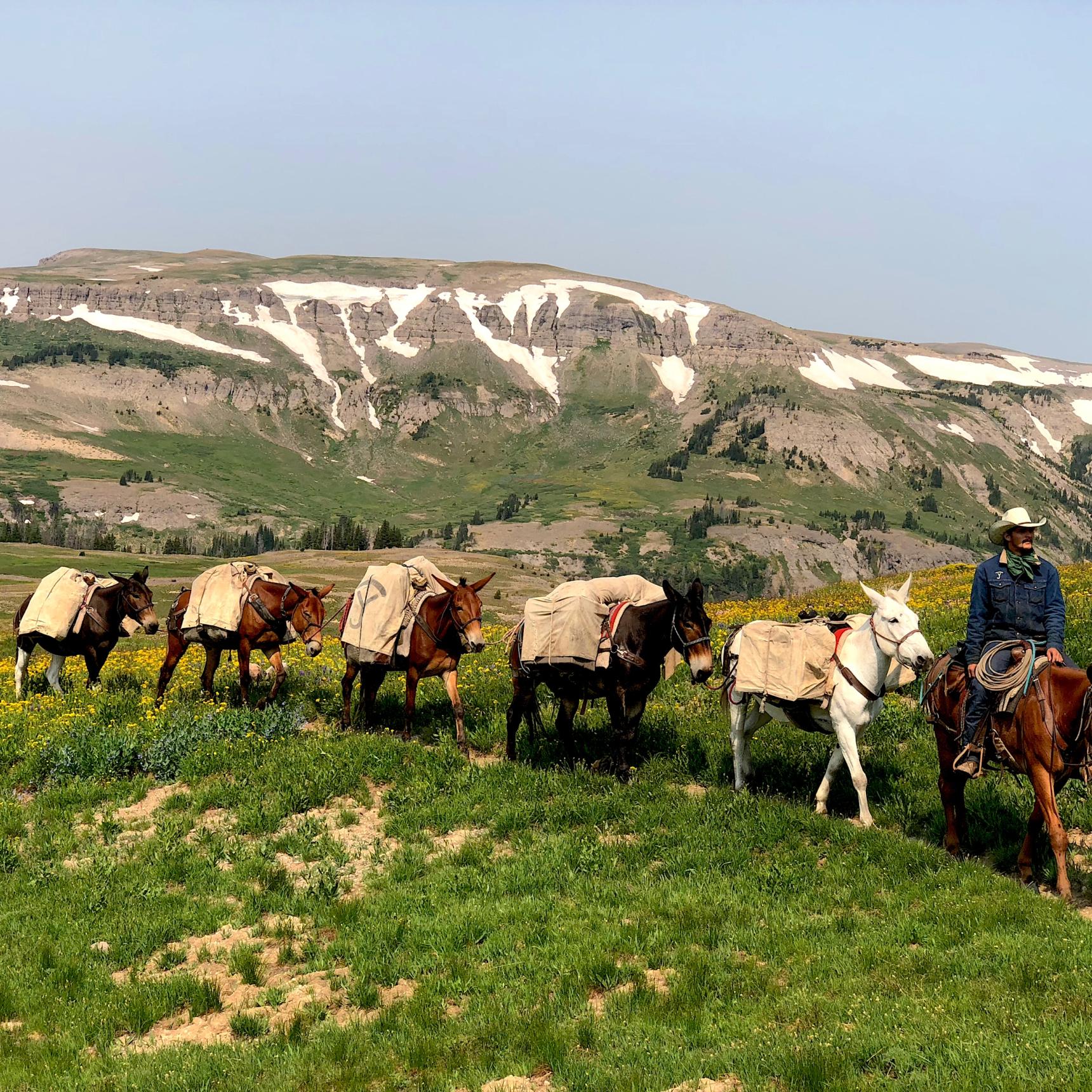 Fly Fishing Pack Trip, Woodard Canyon