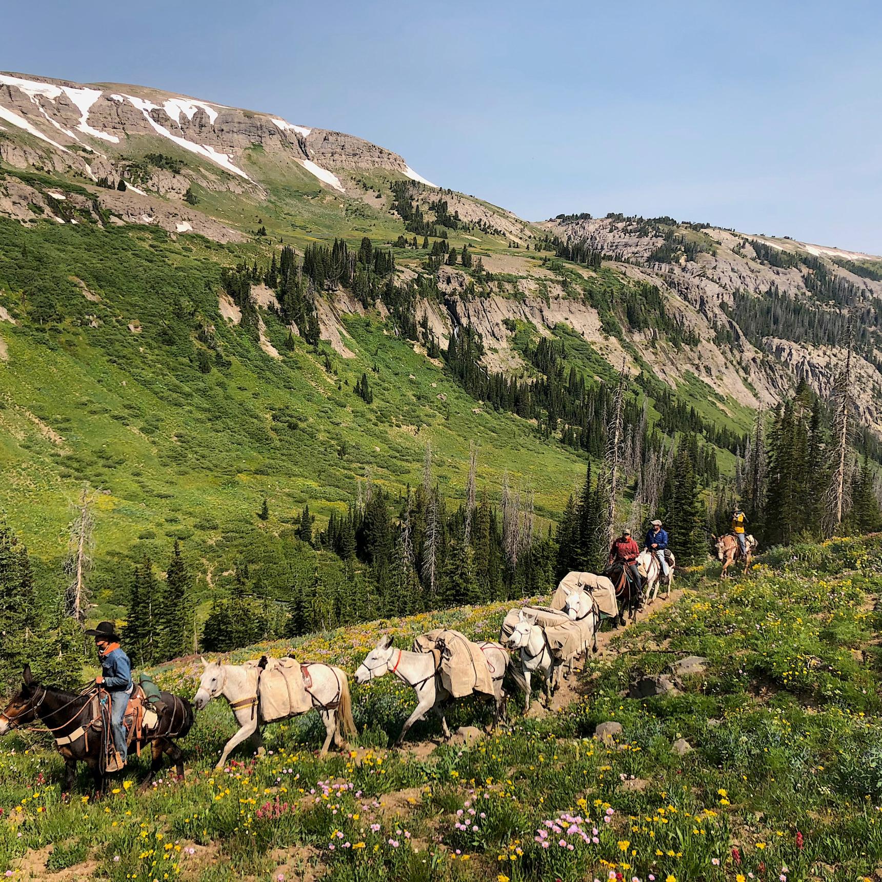 Yellowstone Fishing Pack Trip
