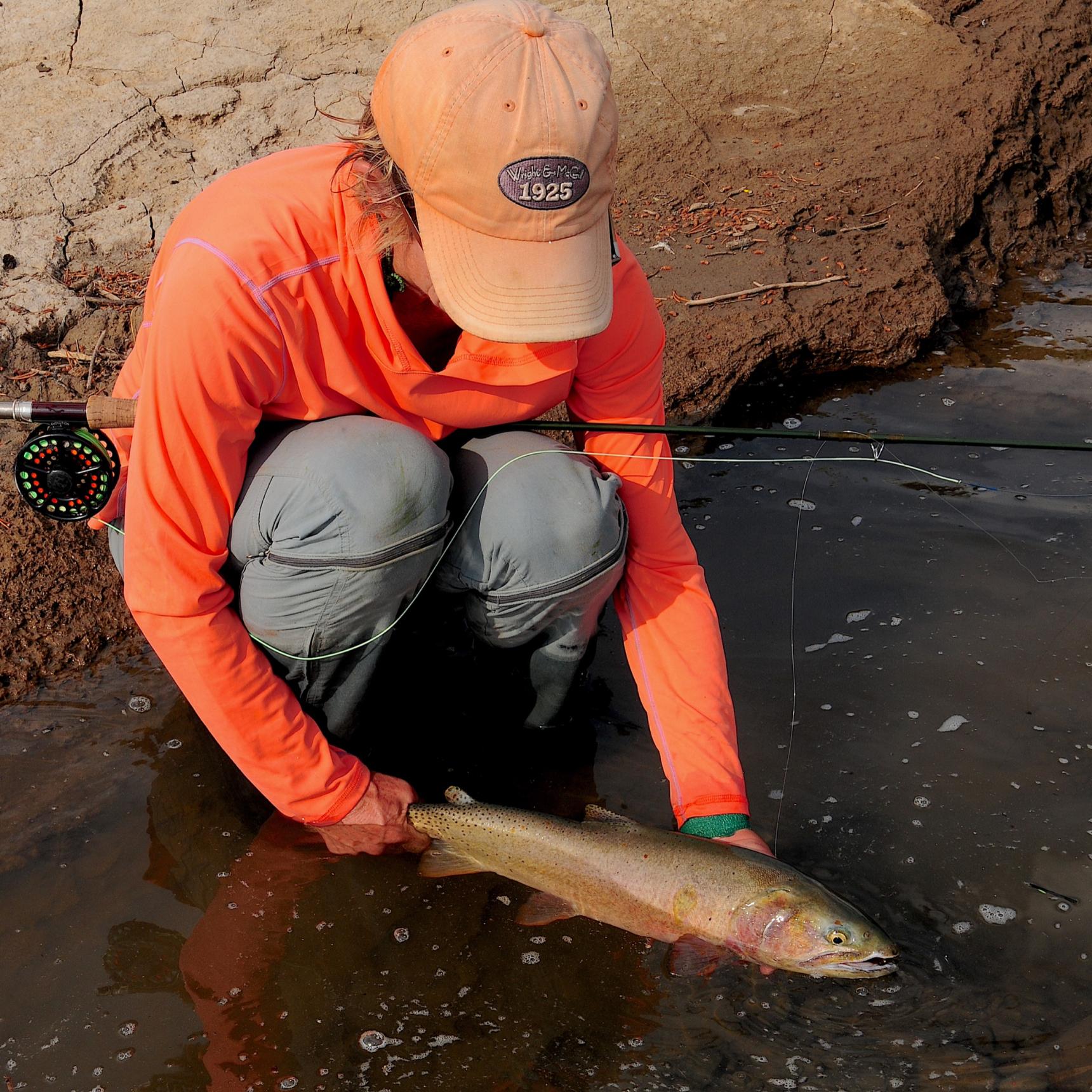 Fishing the Yellowstone River Thorofare, Yellowstone Cutthroat Trout, Yellowstone Park