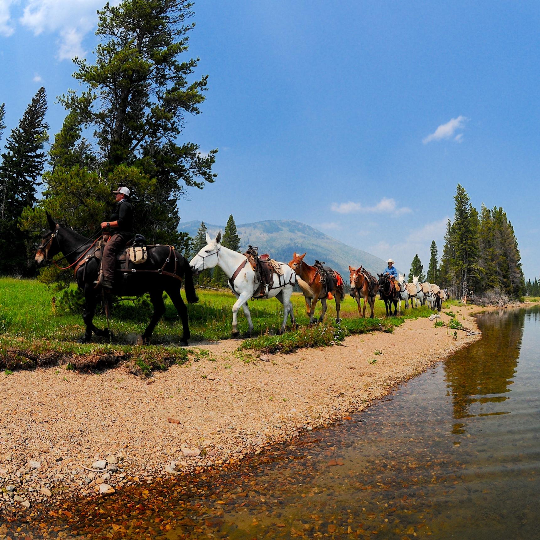 Snake River Fly Fishing Pack Trip, Heart Lake Yellowstone Park