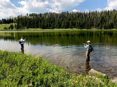 Yellowstone Fly Fishing Pack Trips, Mariposa Lake