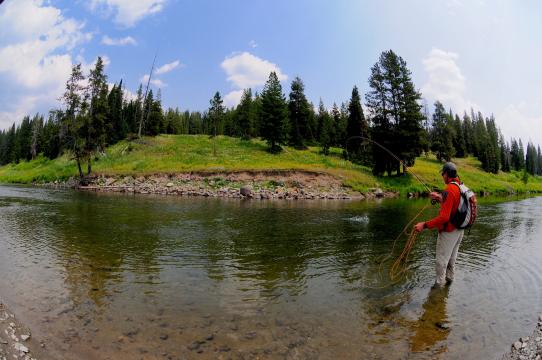 Fishing in Yellowstone National Park, Snake River