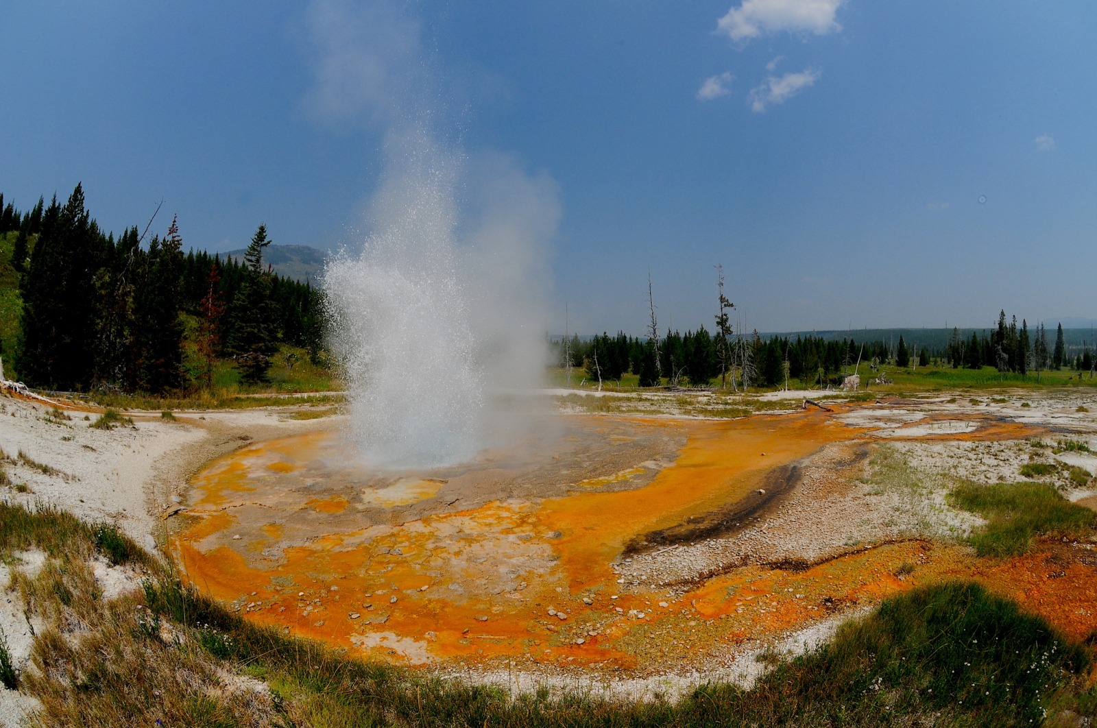 Yellowstone Wilderness Pack Trips