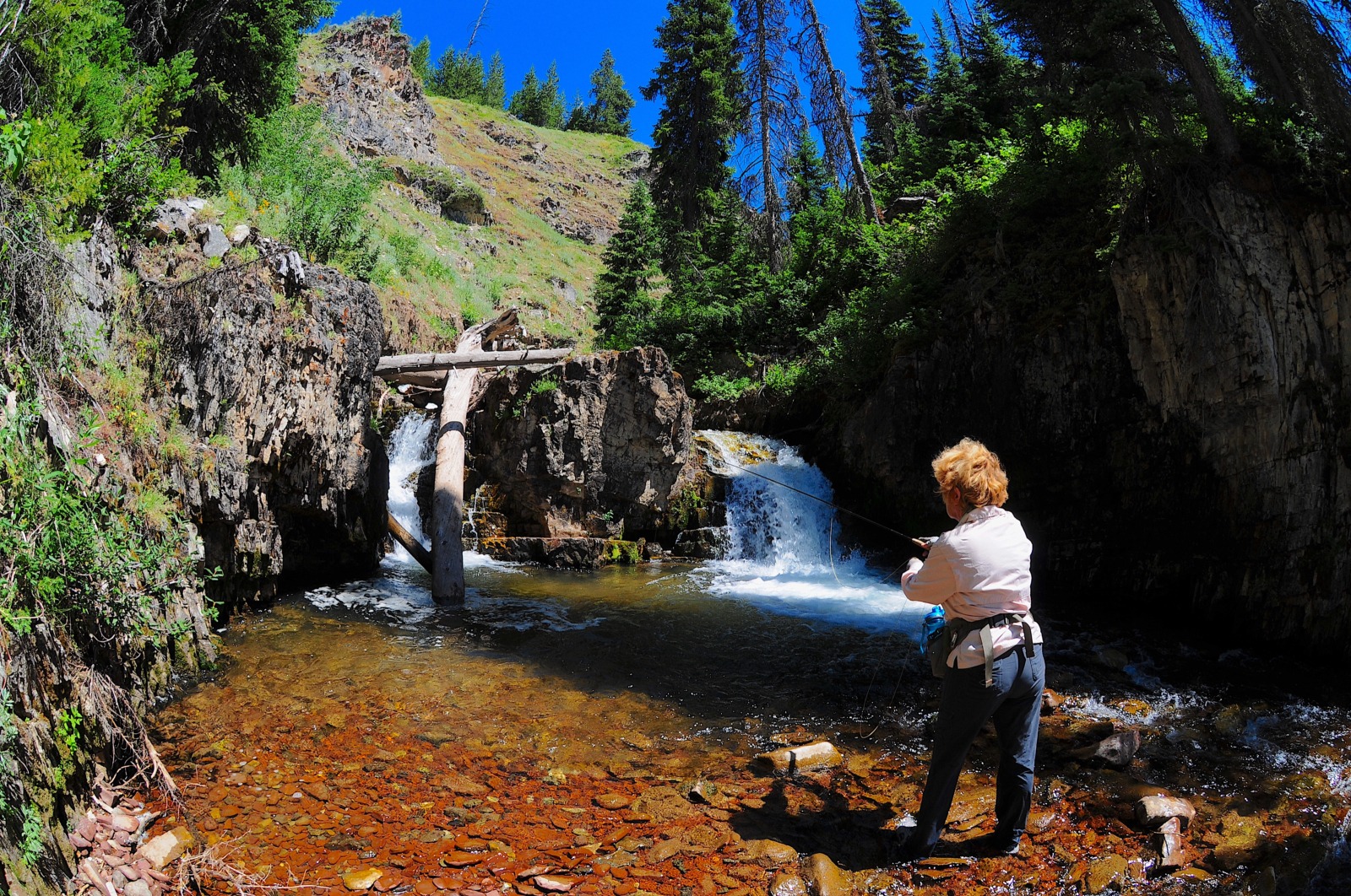 Fishing Guides in Yellowstone National Park