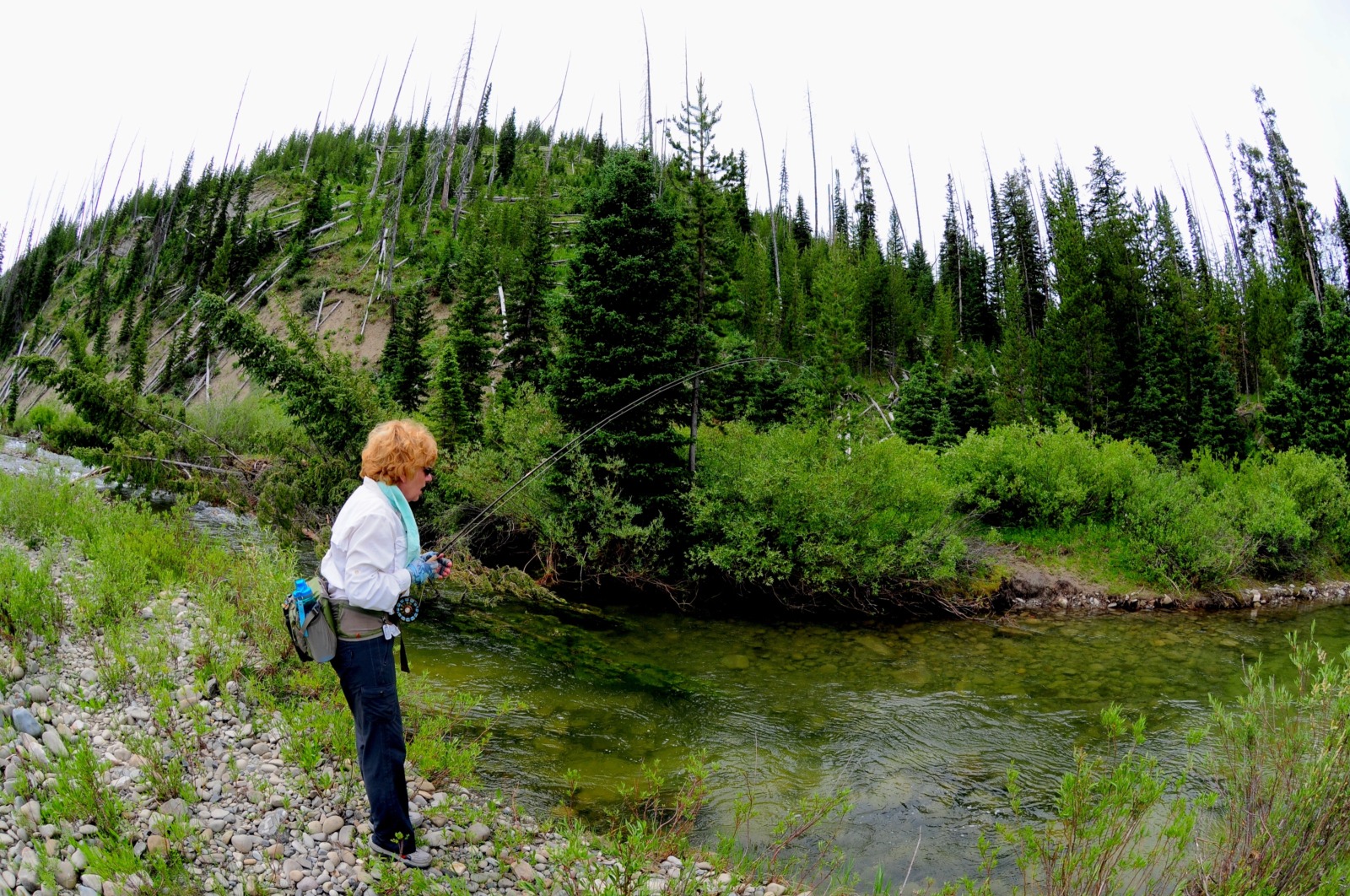 Yellowstone Backcountry Fishing Guides