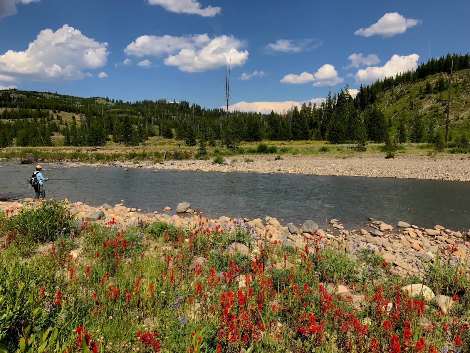 Fishing in Yellowstone National Park