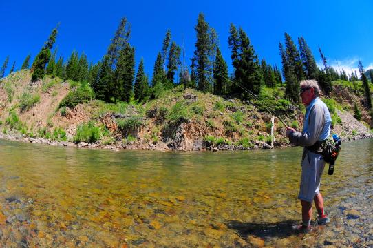 Yellowstone Fly Fishing Guides