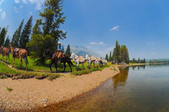 Yellowstone Pack Trips