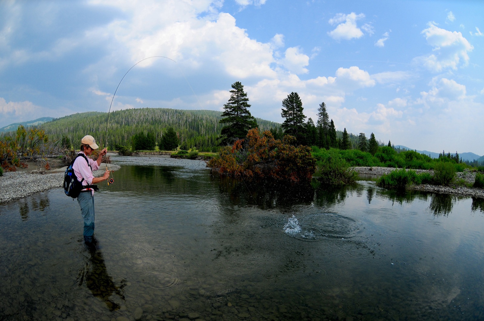 Fishing Guides in Yellowstone National Park