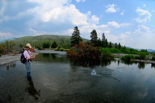 Fishing Guides in Yellowstone National Park