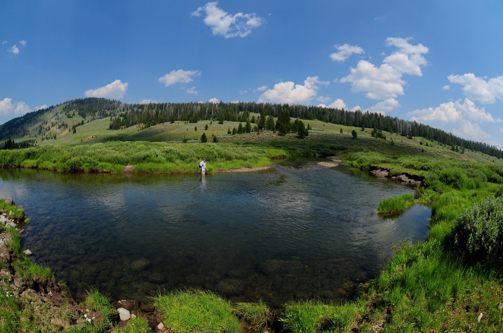 Yellowstone National Park Fishing Trips