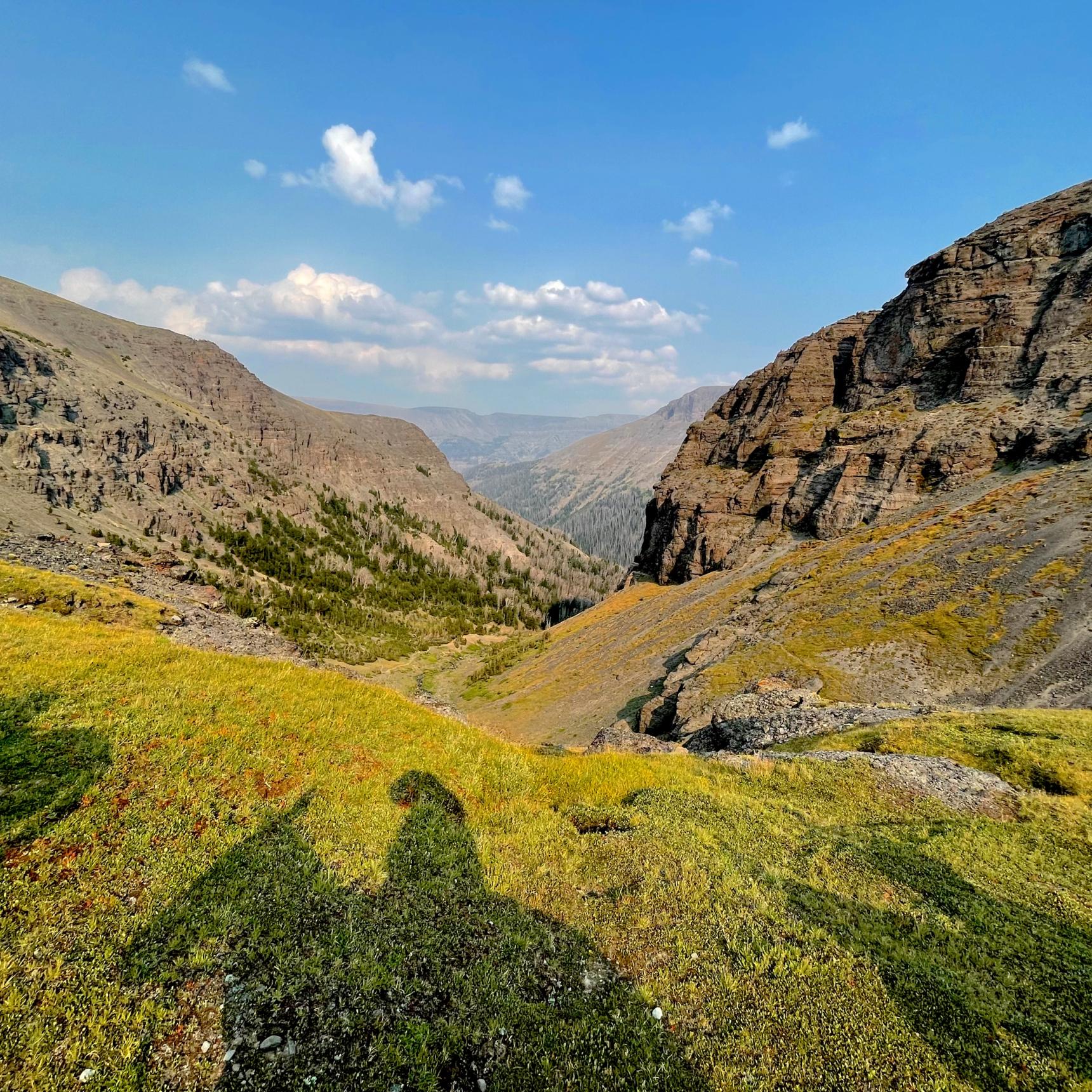 Wyoming Wilderness Fly Fishing Pack Trips