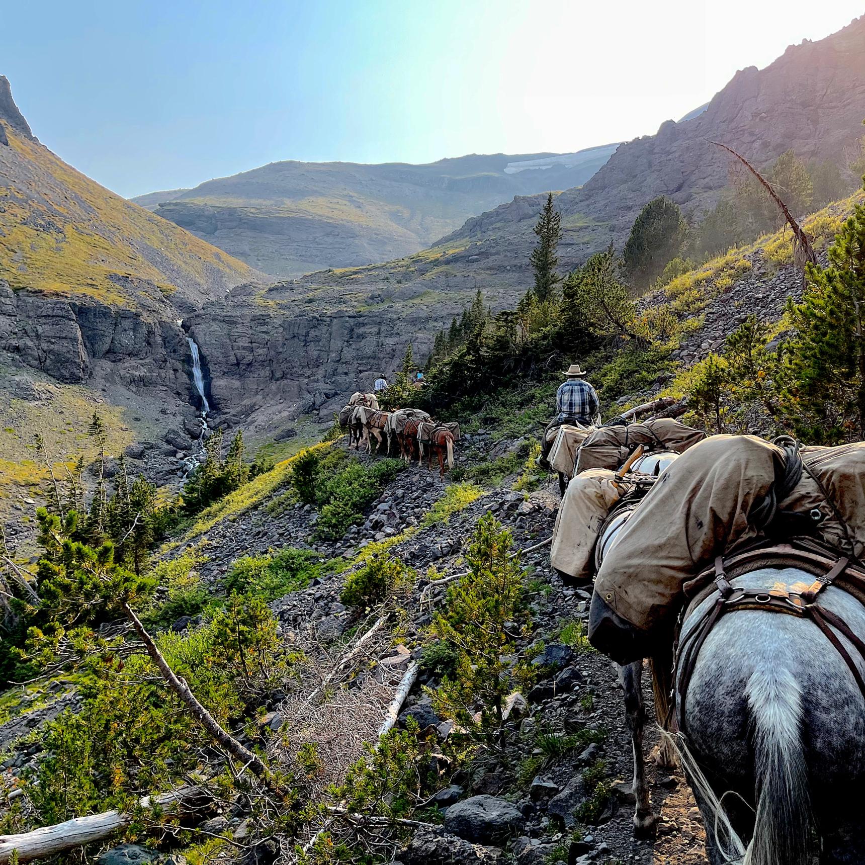 Wyoming Wilderness Fly Fishing Pack Trips