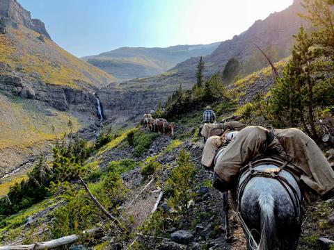Wyoming Wilderness Fly Fishing Pack Trips