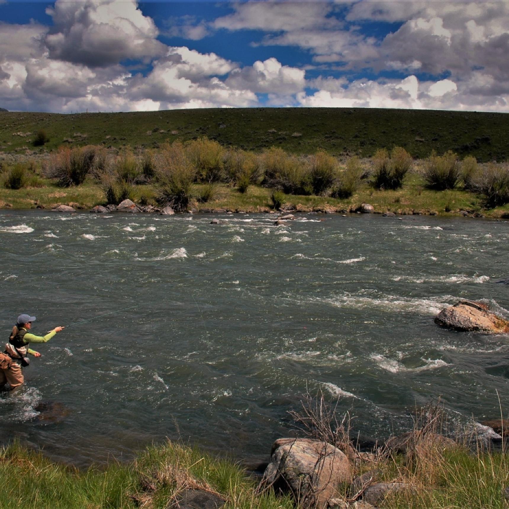 Montana Fly Fishing Guides