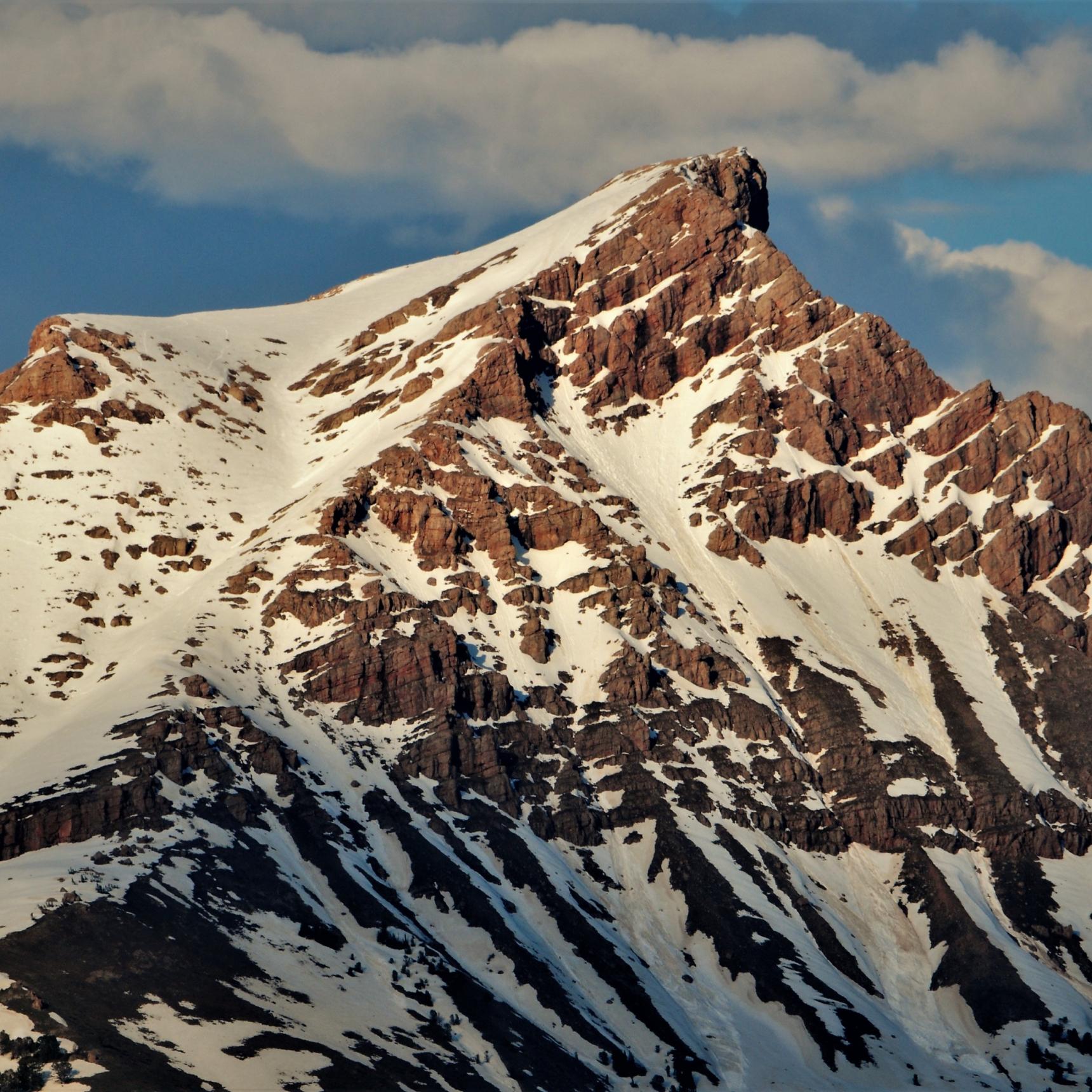 Montana Fly Fishing Trips