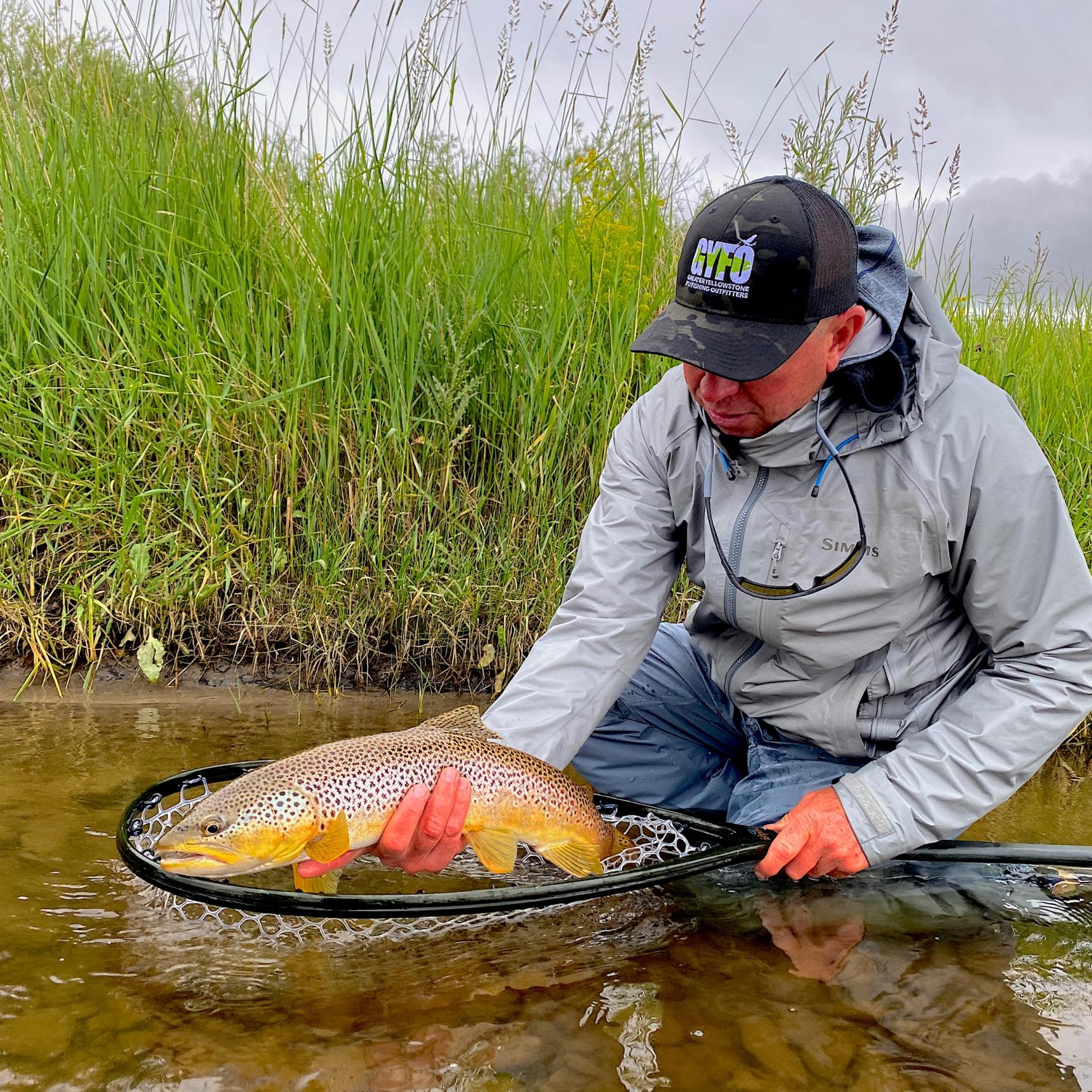 Montana Trout Fishing