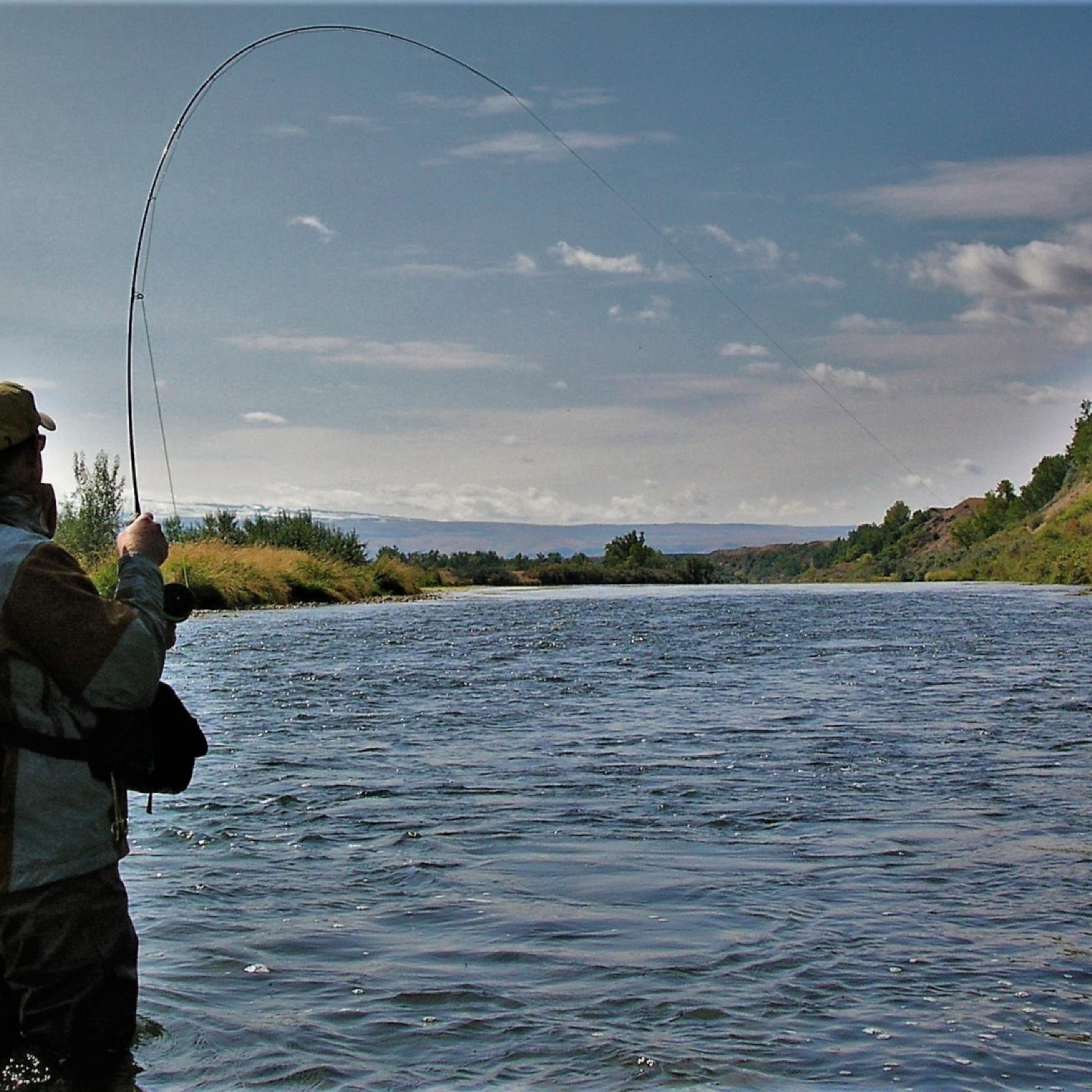 Bighorn River Fishing