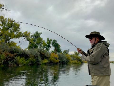 Bighorn River Fishing