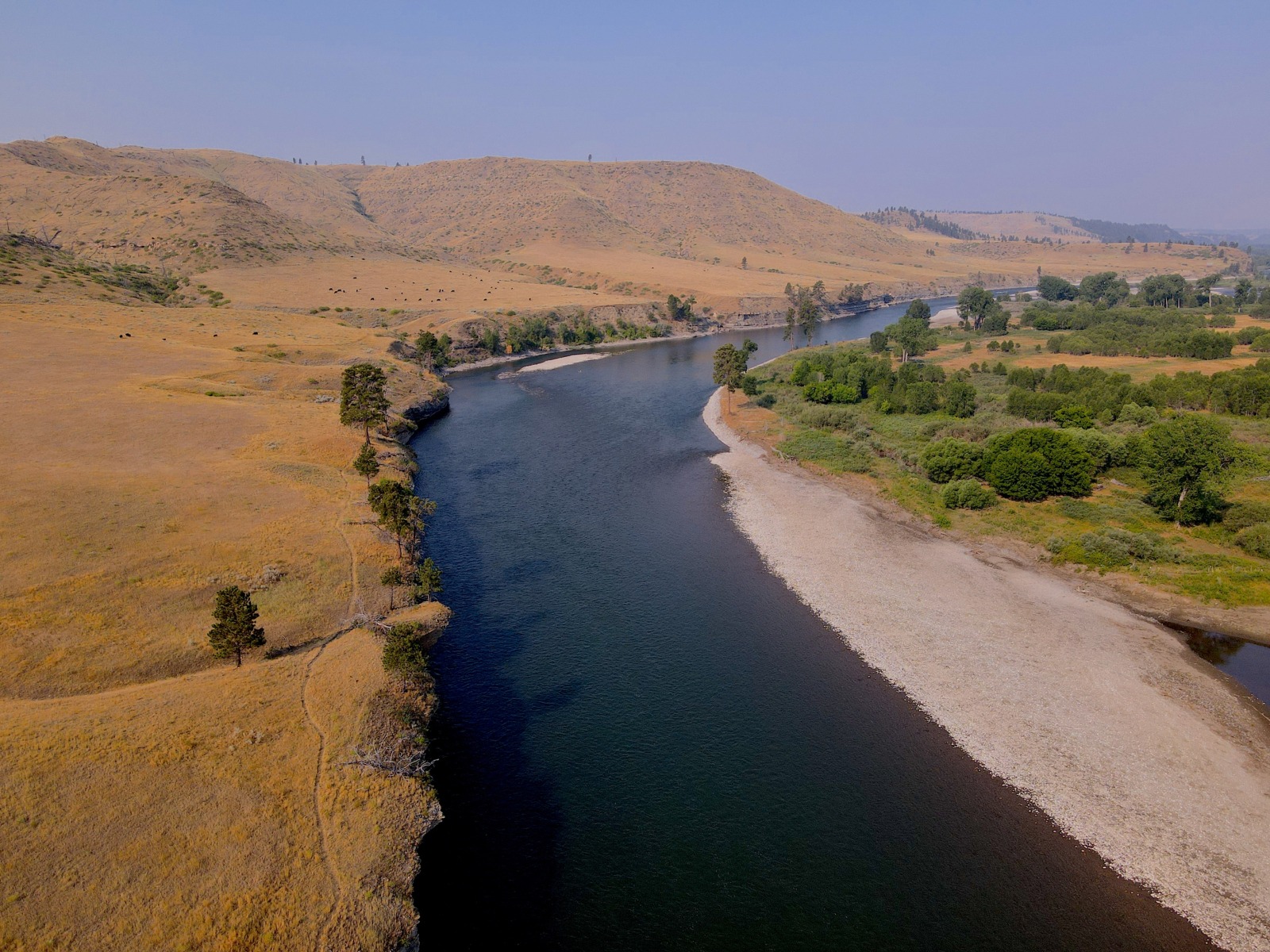 Yellowstone River Fishing Guides